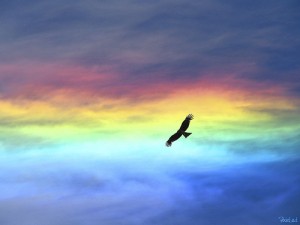 rainbow1 rainbow1