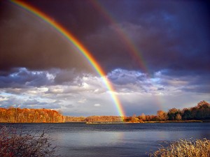 rainbow5