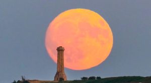 Pink Emerald Strawberry Buck Moons